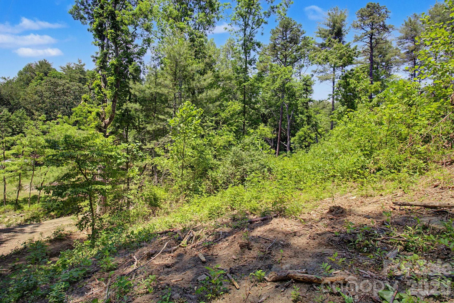 1355 Brookside Camp Road - Photo 3