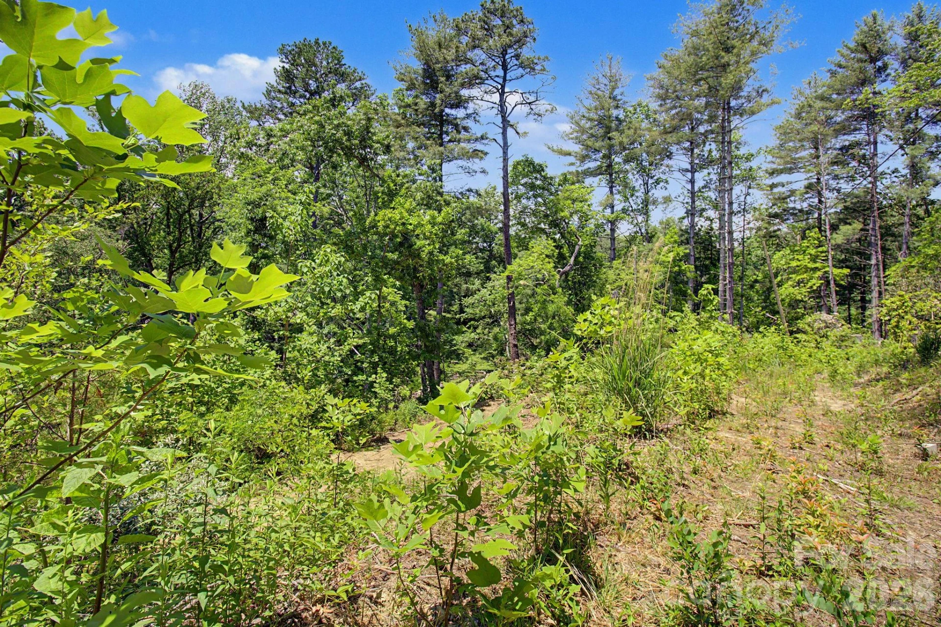 1355 Brookside Camp Road - Photo 21