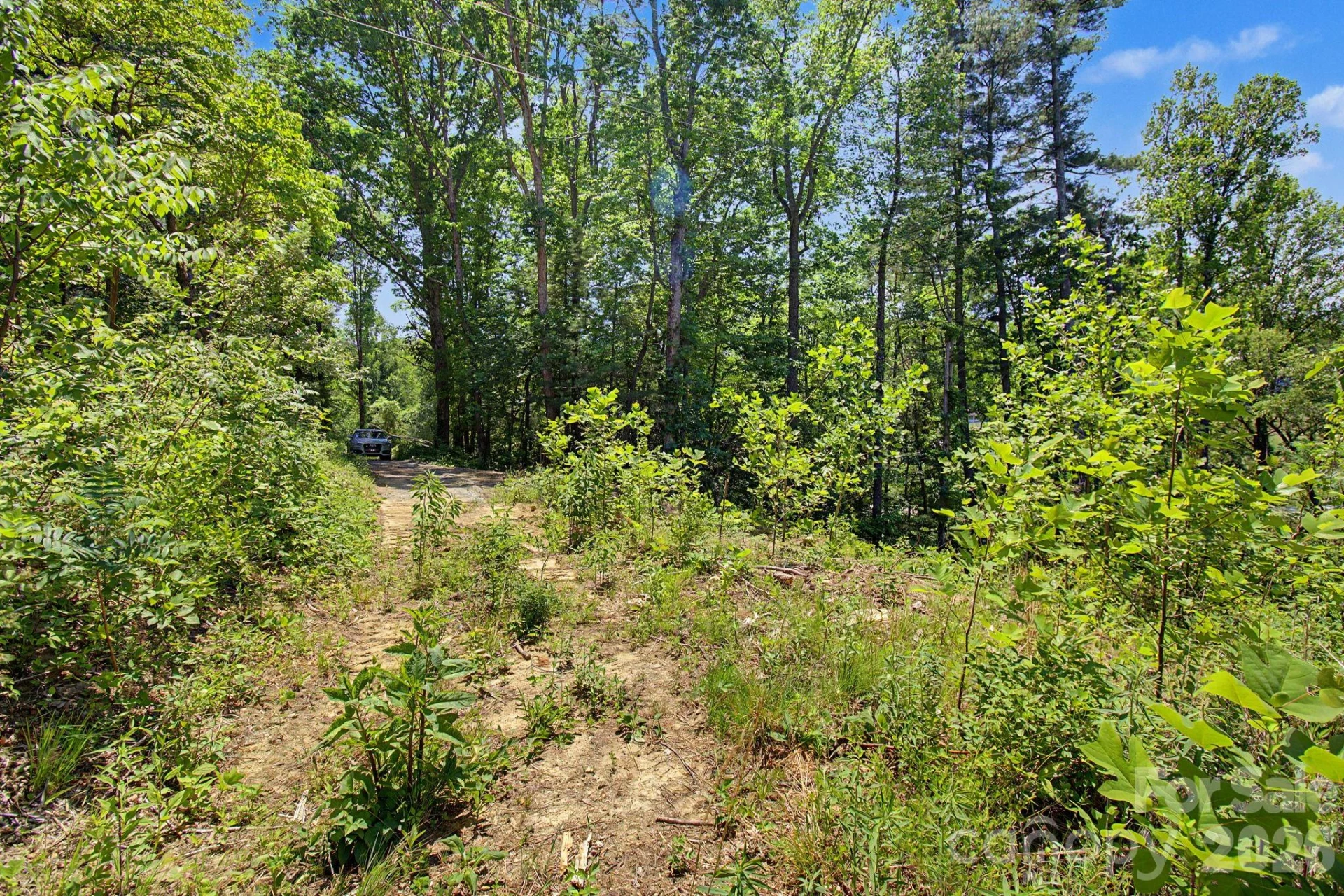 1355 Brookside Camp Road - Photo 22