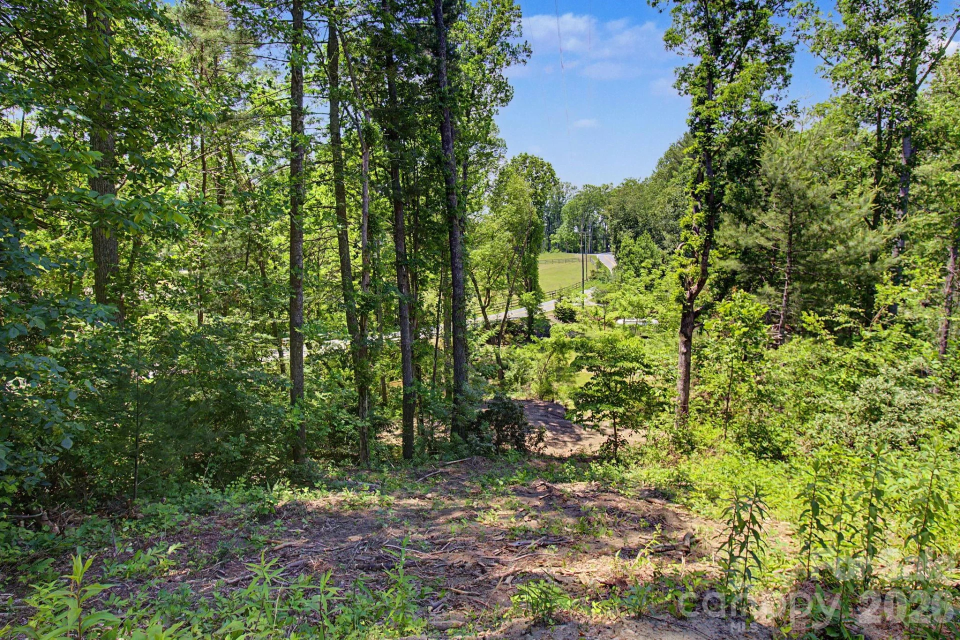1355 Brookside Camp Road - Photo 23