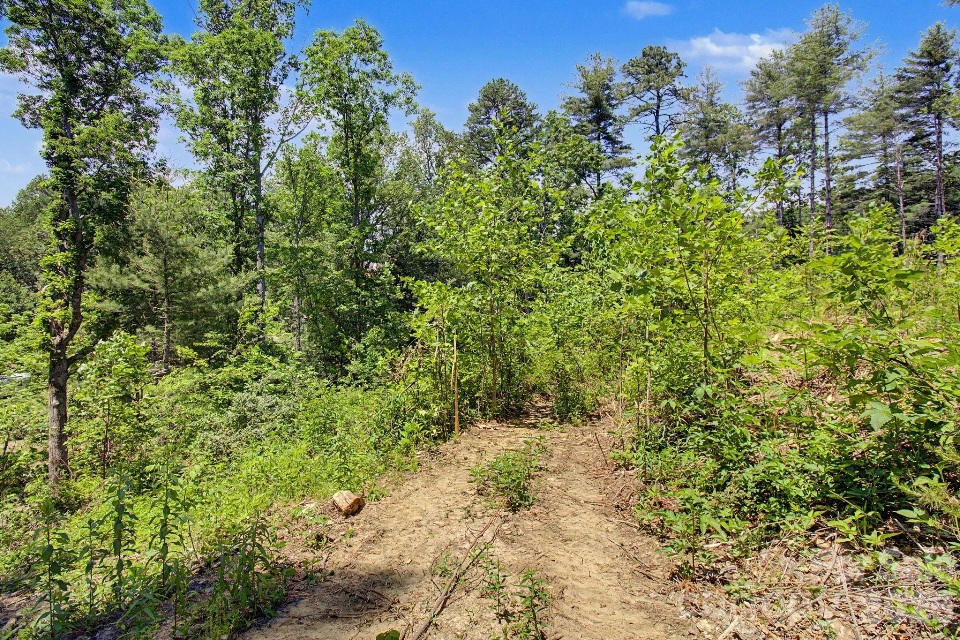 1355 Brookside Camp Road - Photo 24