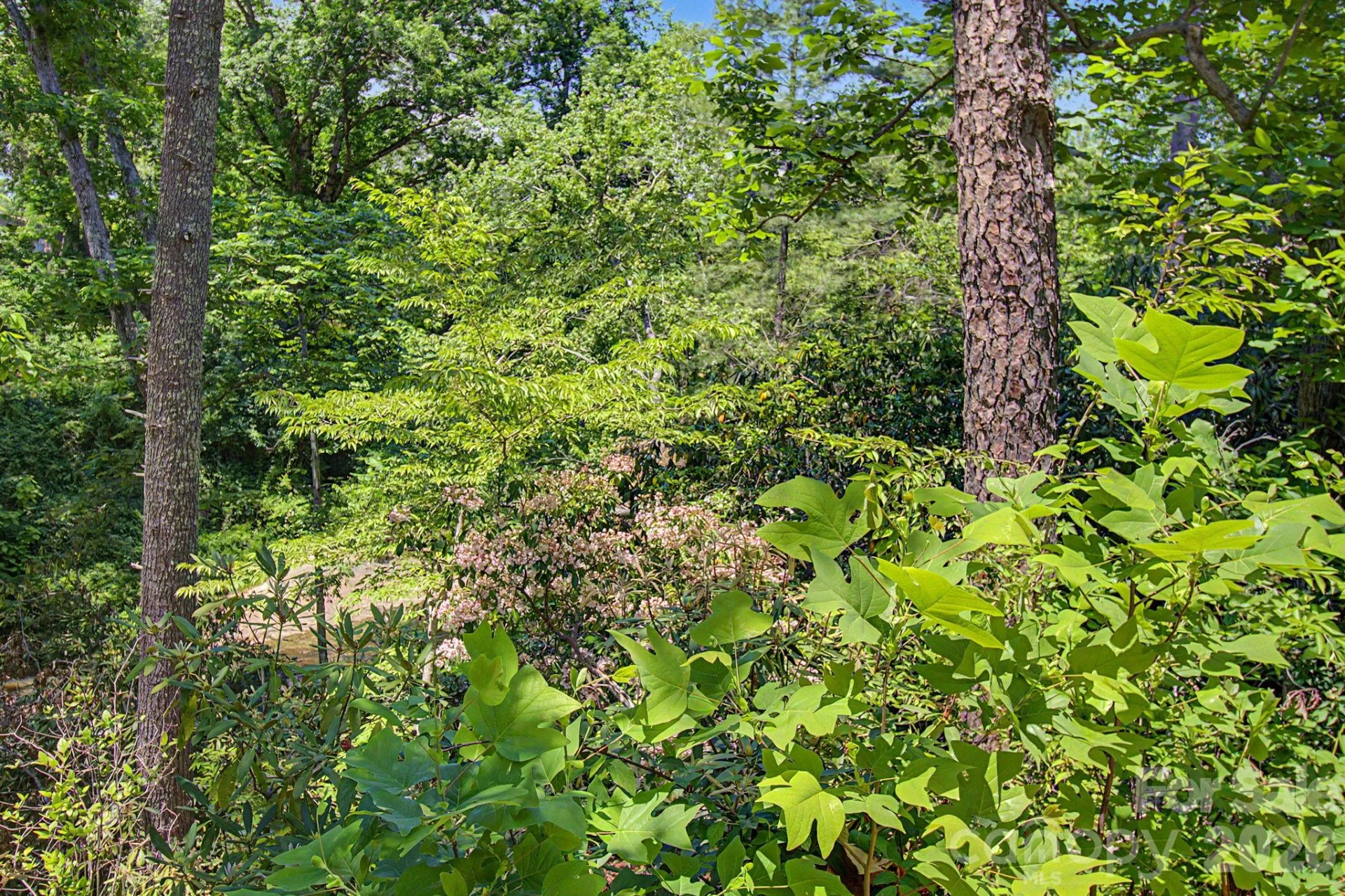 1355 Brookside Camp Road - Photo 25