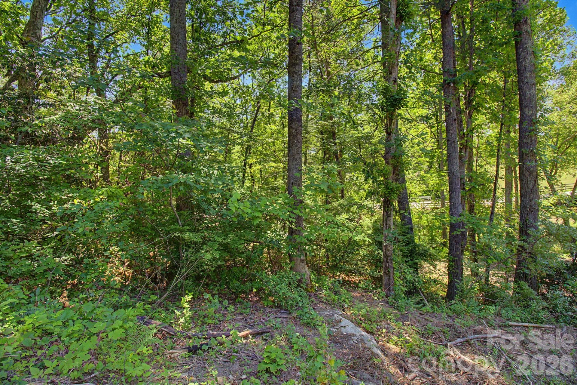 1355 Brookside Camp Road - Photo 4