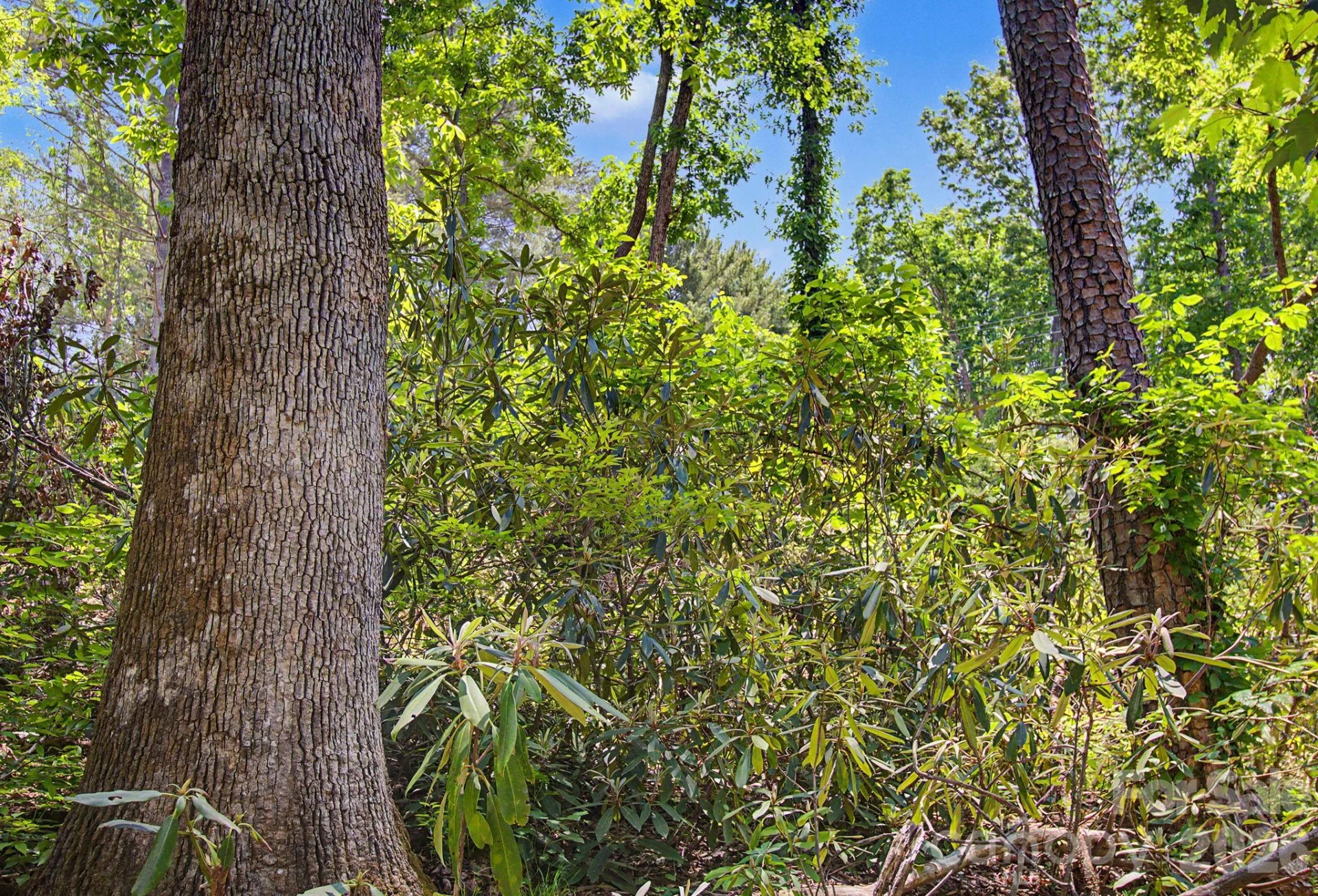 1355 Brookside Camp Road - Photo 34