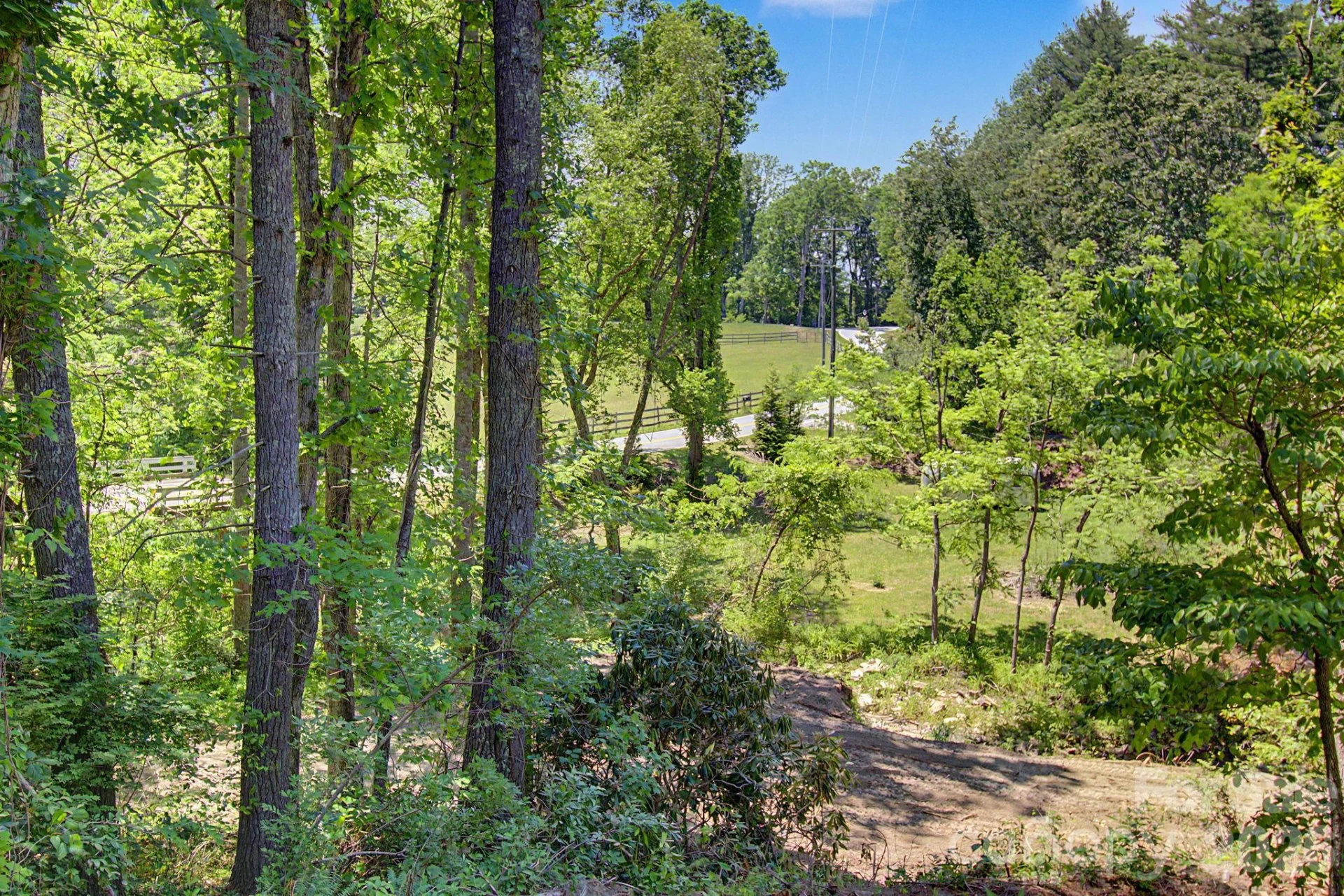 1355 Brookside Camp Road - Photo 5
