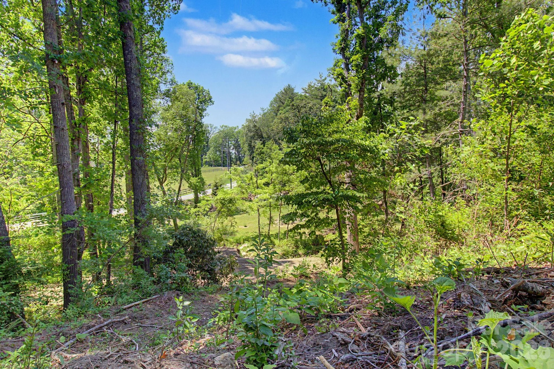 1355 Brookside Camp Road - Photo 6