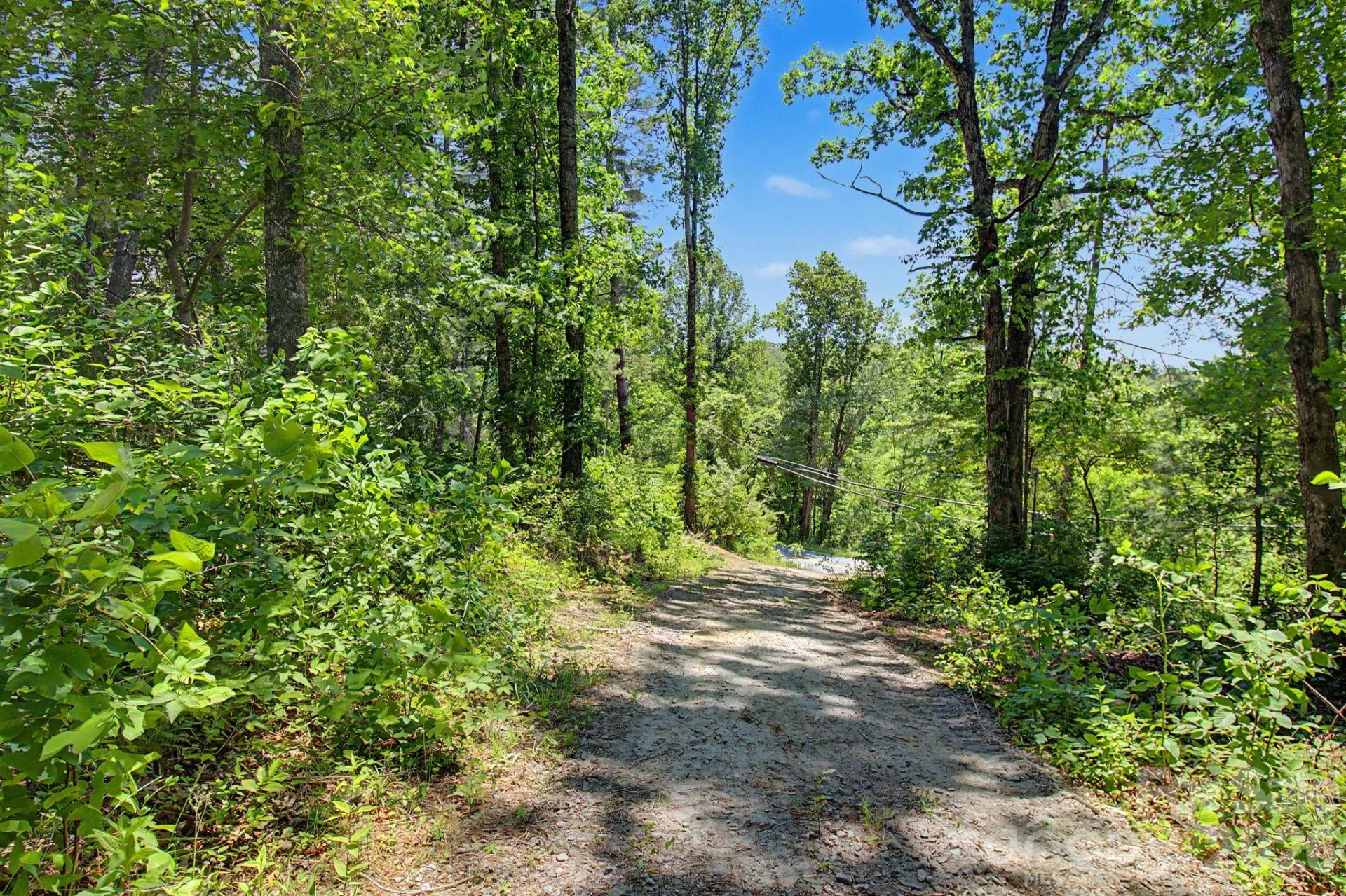 1355 Brookside Camp Road - Photo 7