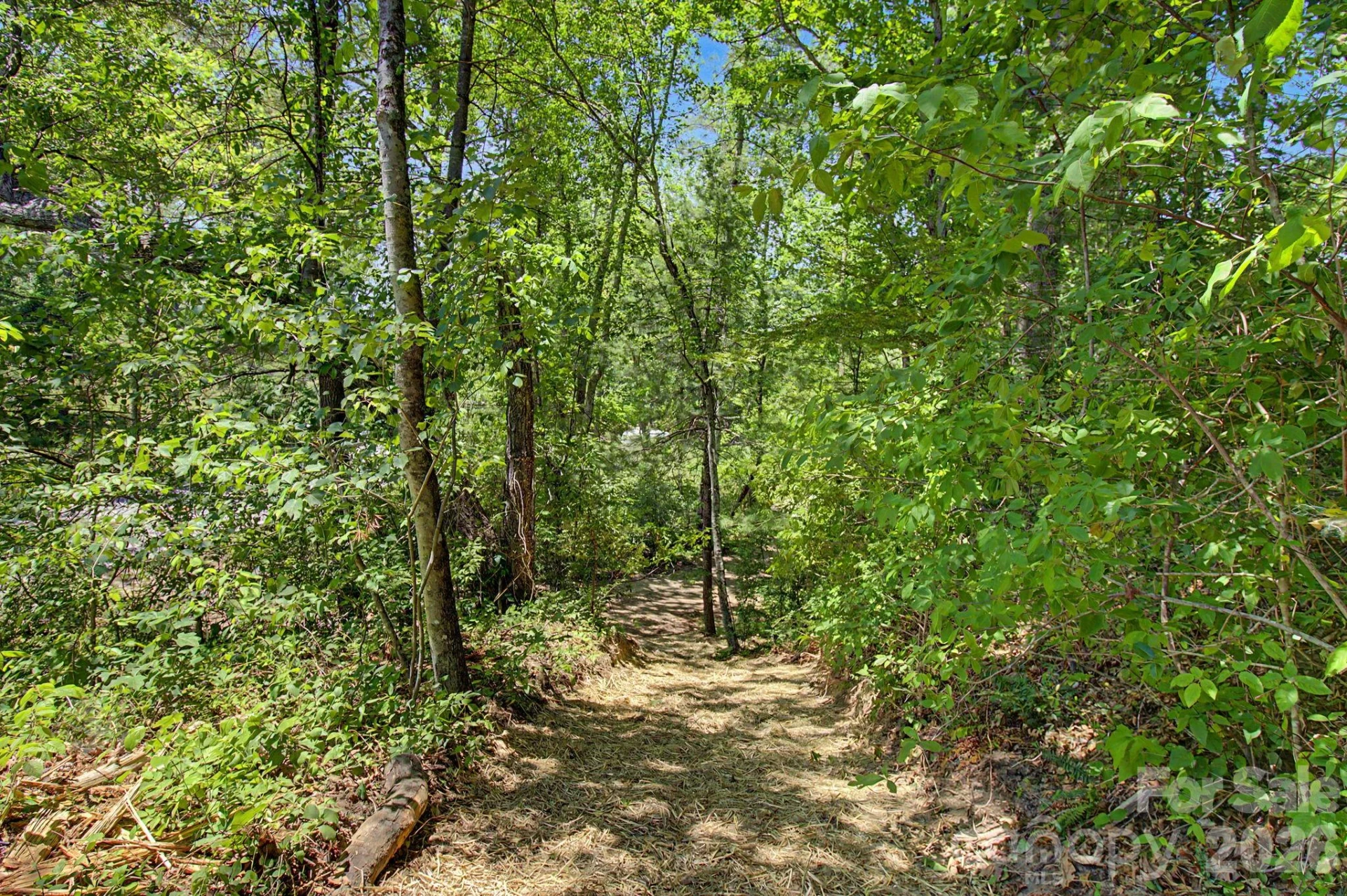 1355 Brookside Camp Road - Photo 8