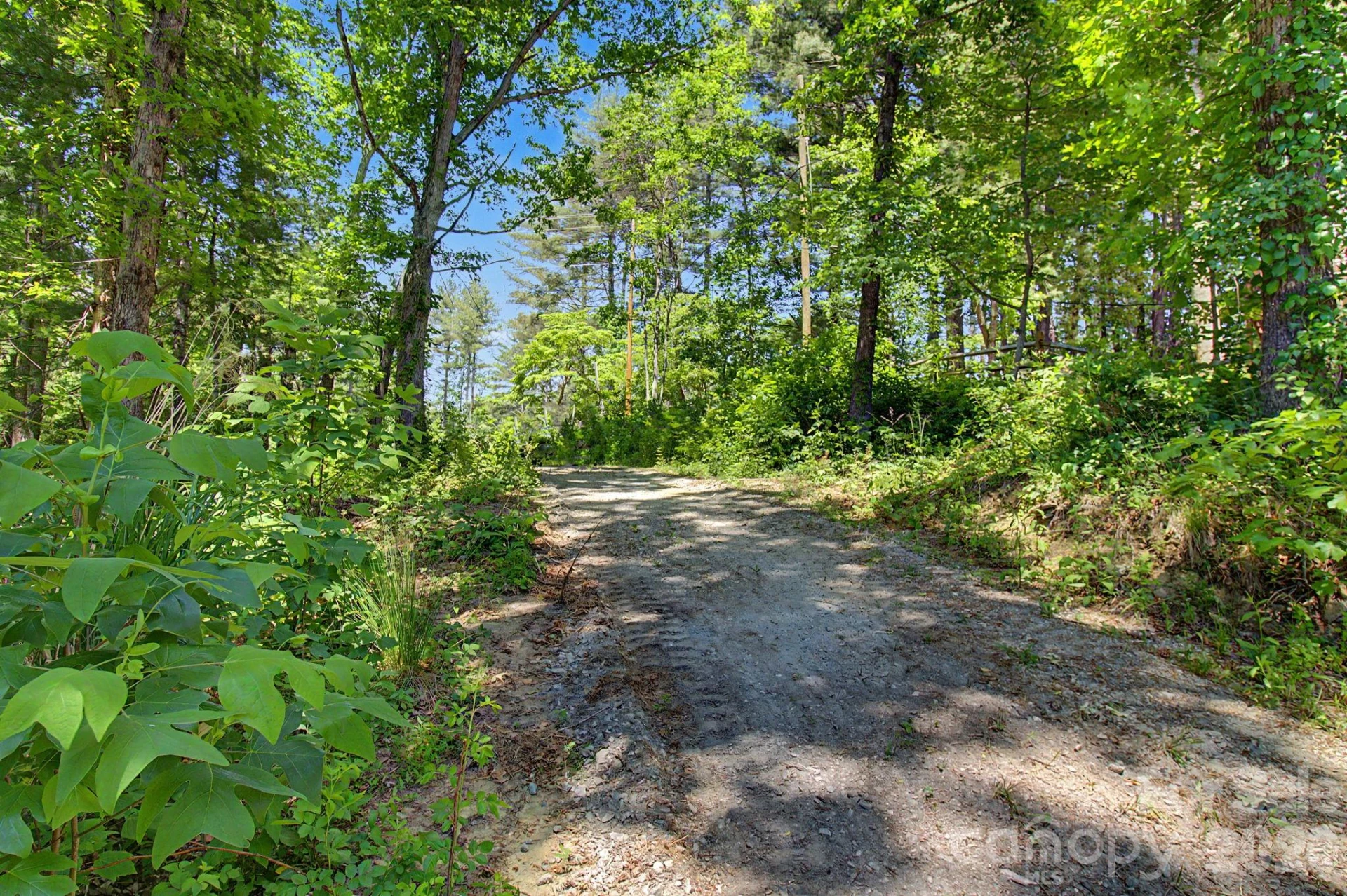 1355 Brookside Camp Road - Photo 10