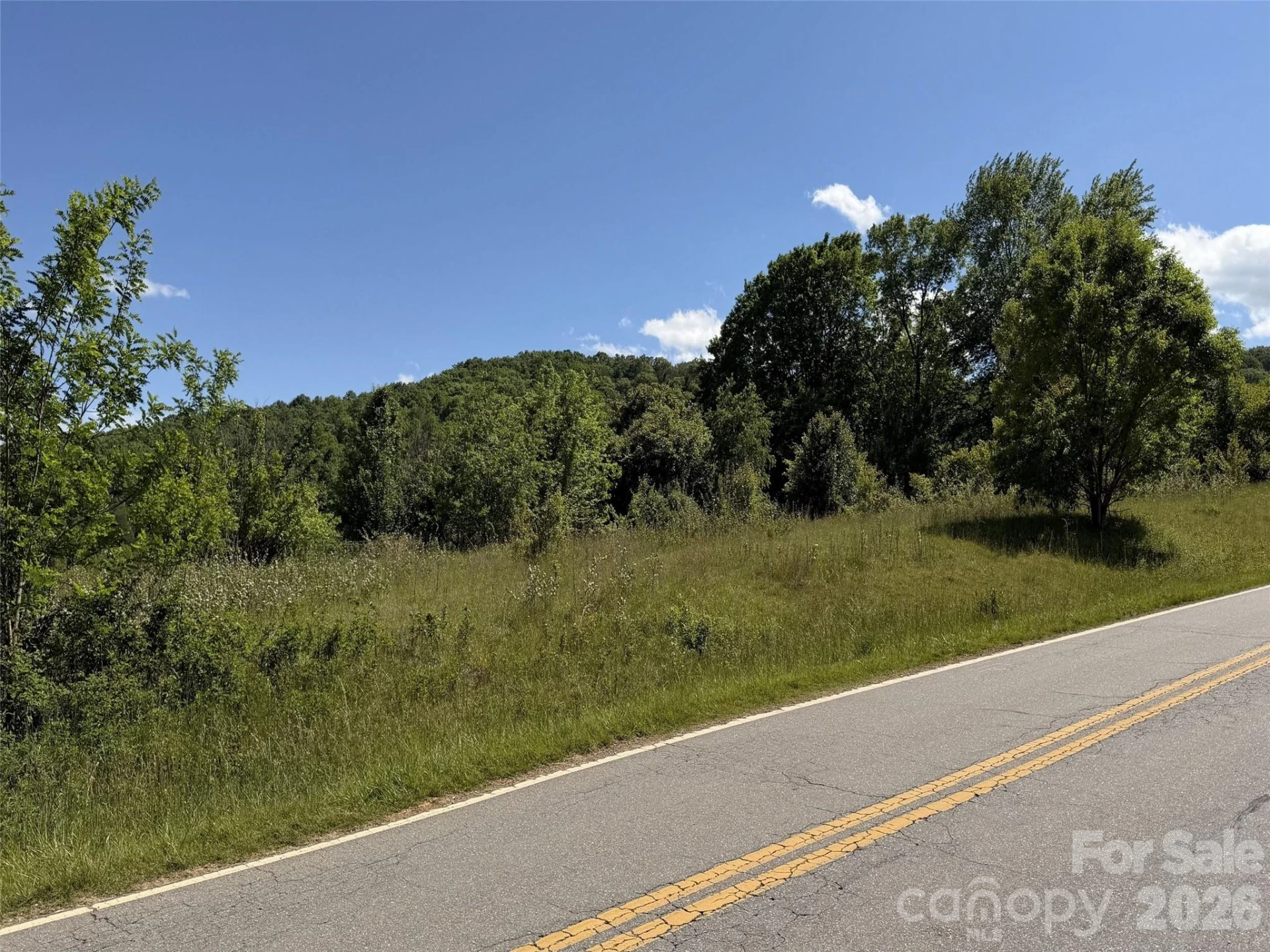 99999 Morgan Branch Road - Photo 3