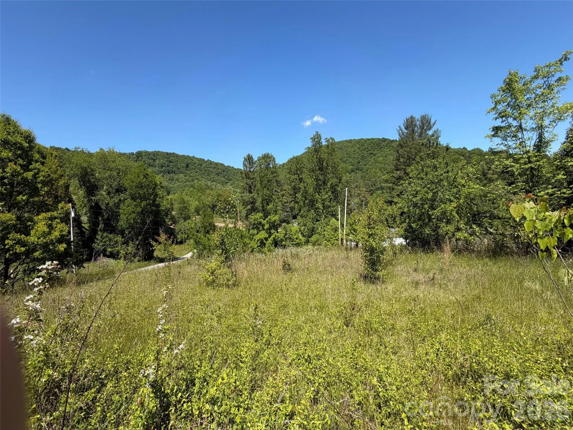 99999 Morgan Branch Road - Photo 4