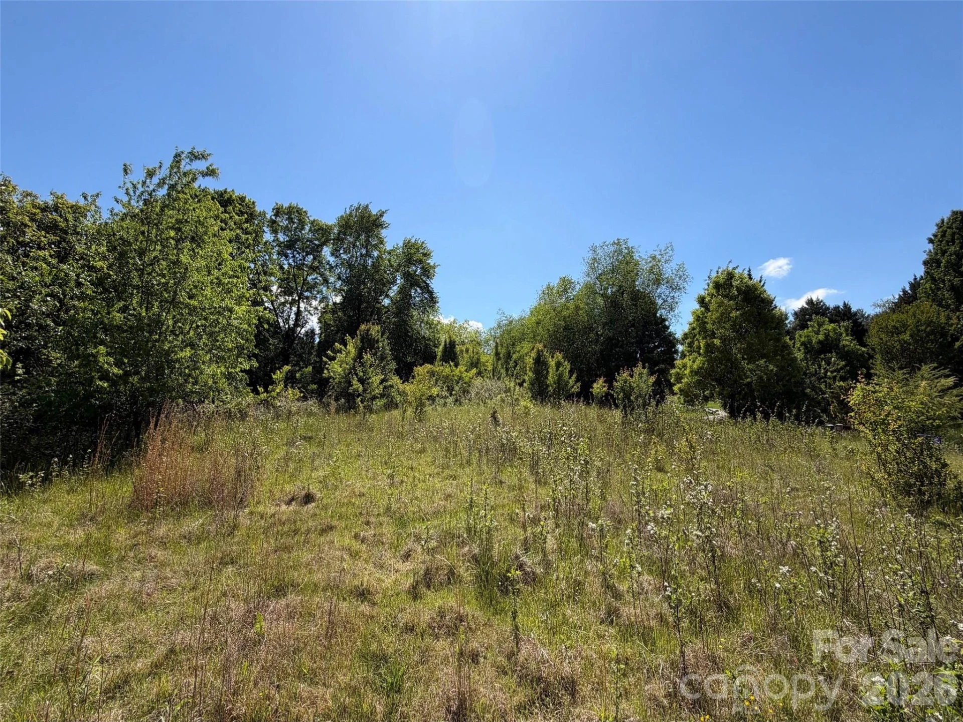 99999 Morgan Branch Road - Photo 5