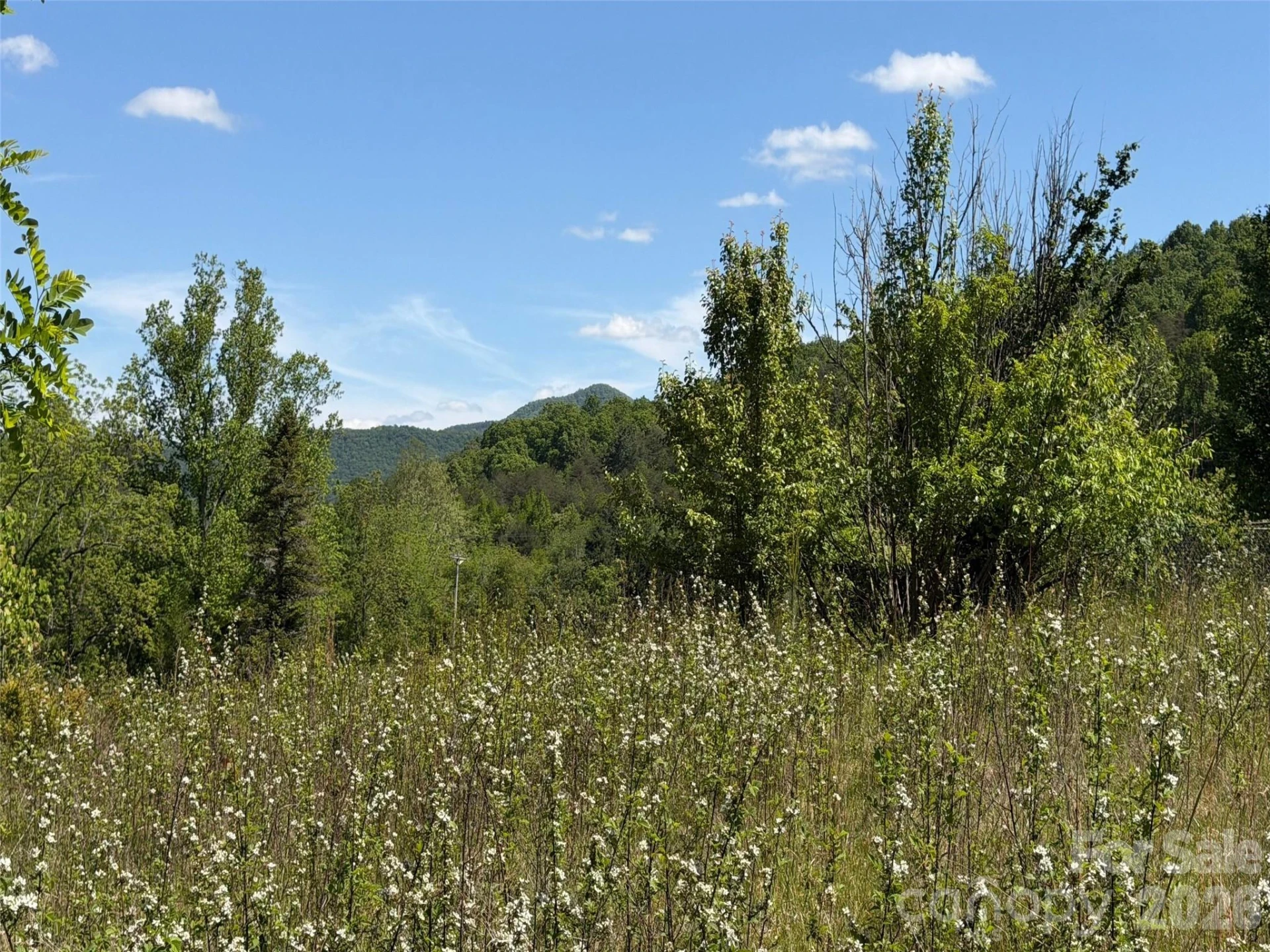 99999 Morgan Branch Road - Photo 6