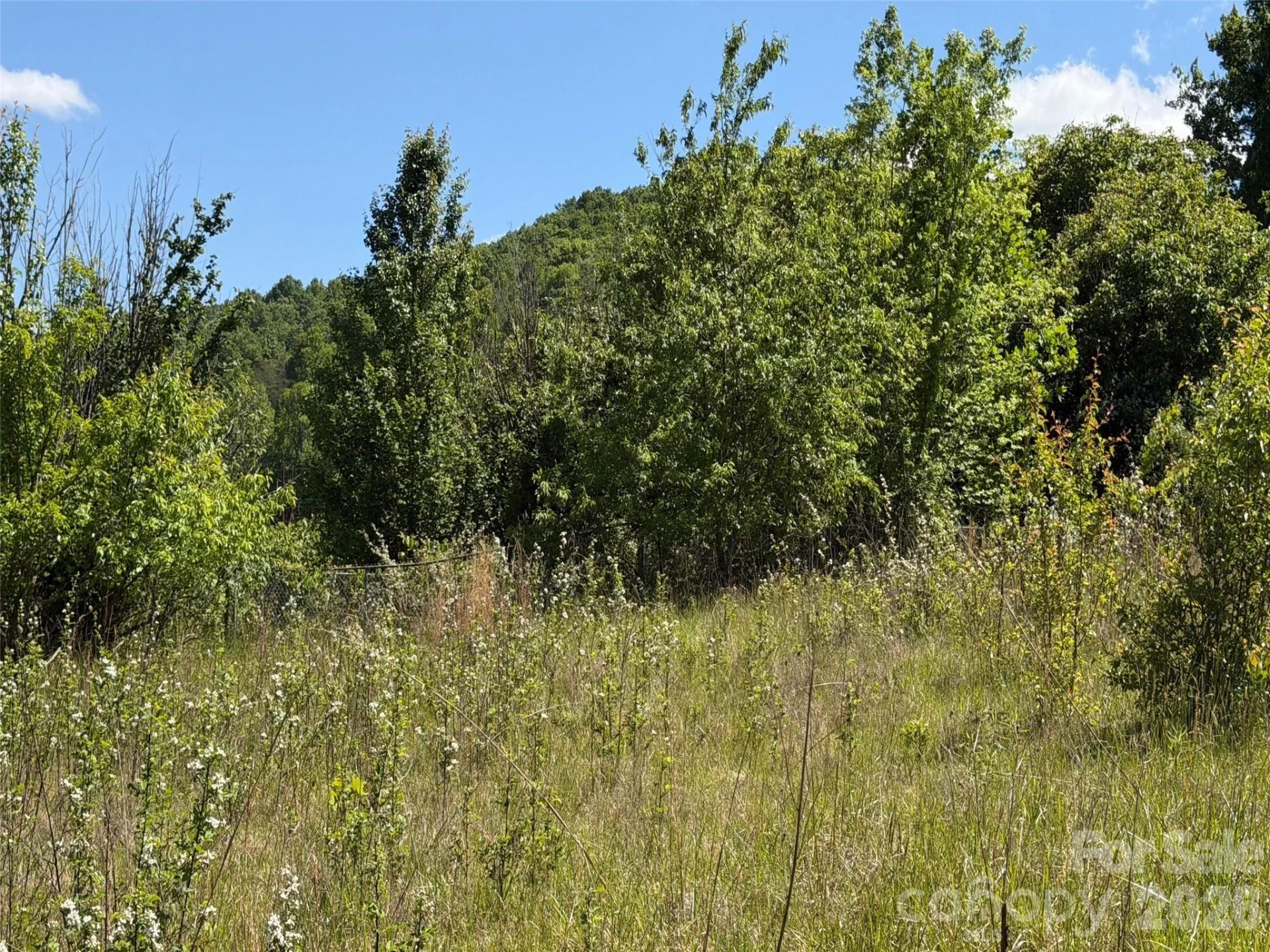 99999 Morgan Branch Road - Photo 7