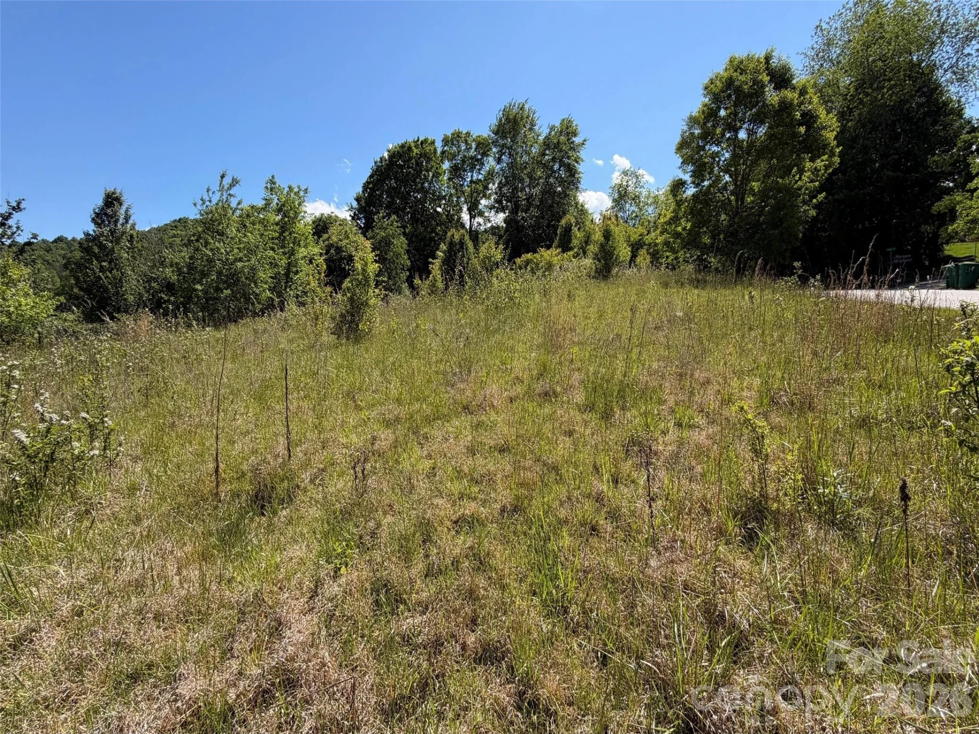 99999 Morgan Branch Road - Photo 8