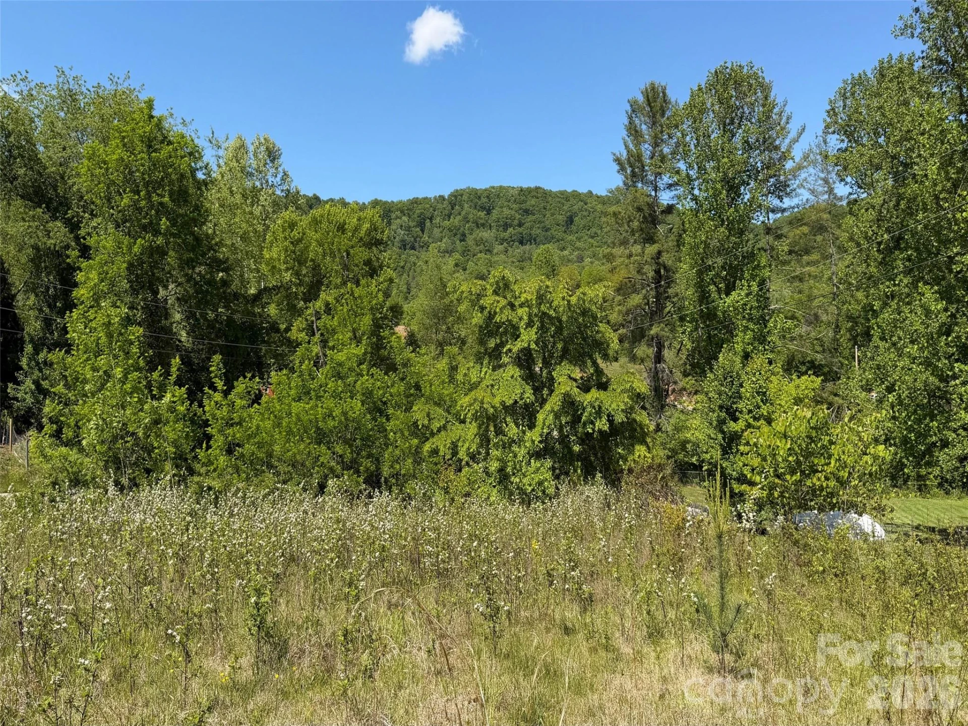 99999 Morgan Branch Road - Photo 9