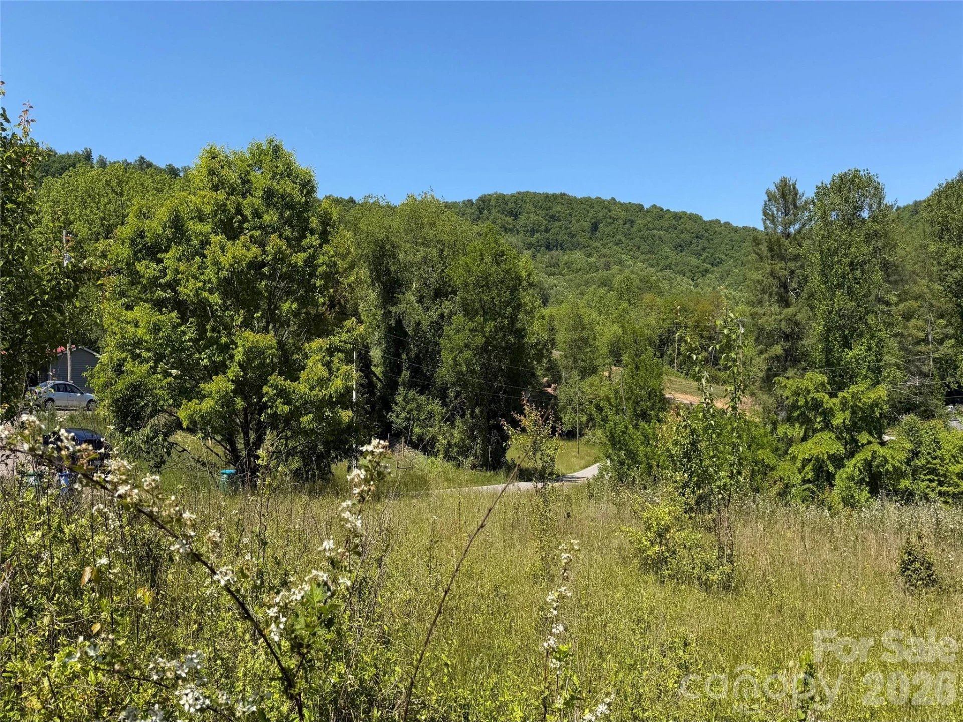 99999 Morgan Branch Road - Photo 10