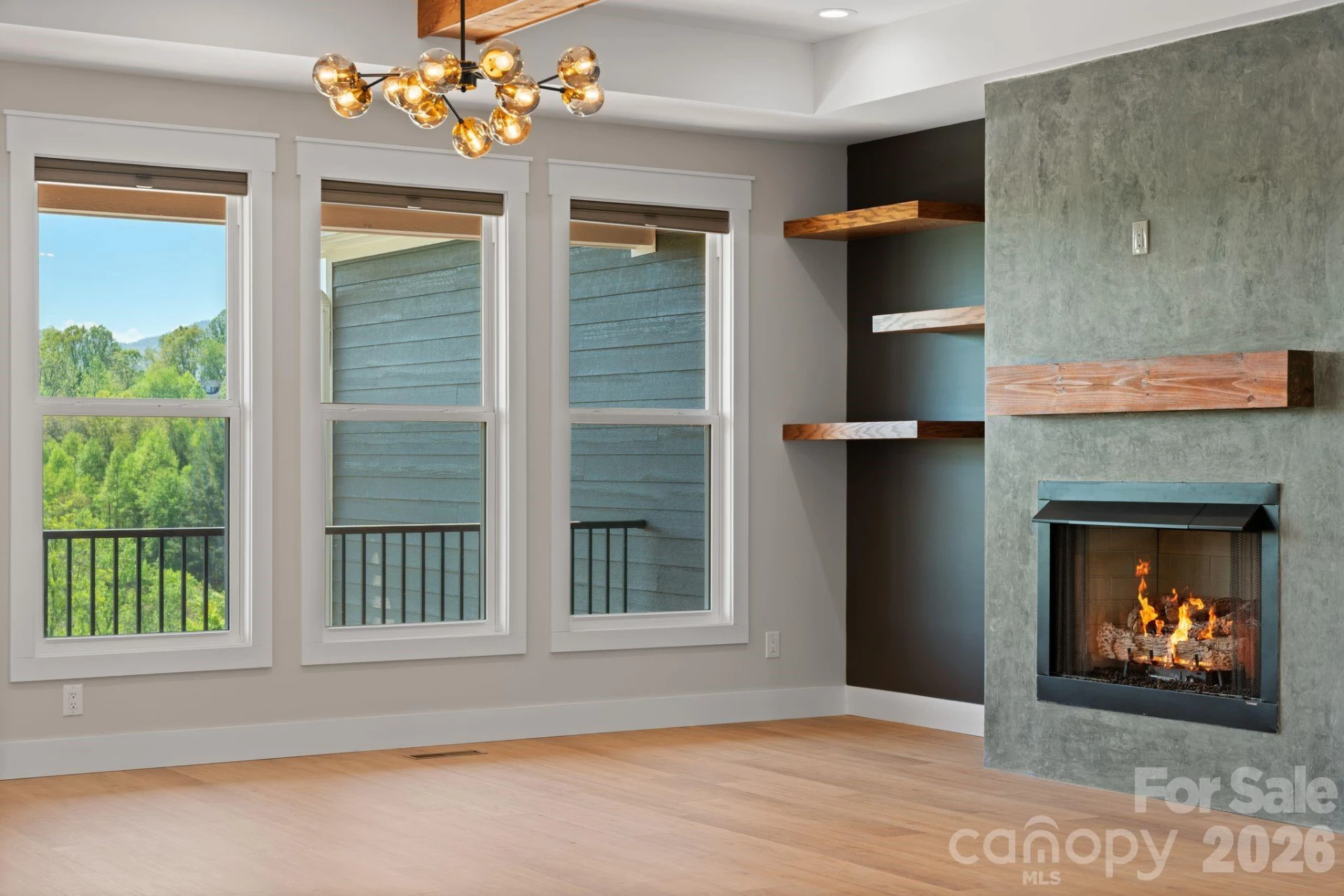 111 Pisgah Gap Drive - Photo 14