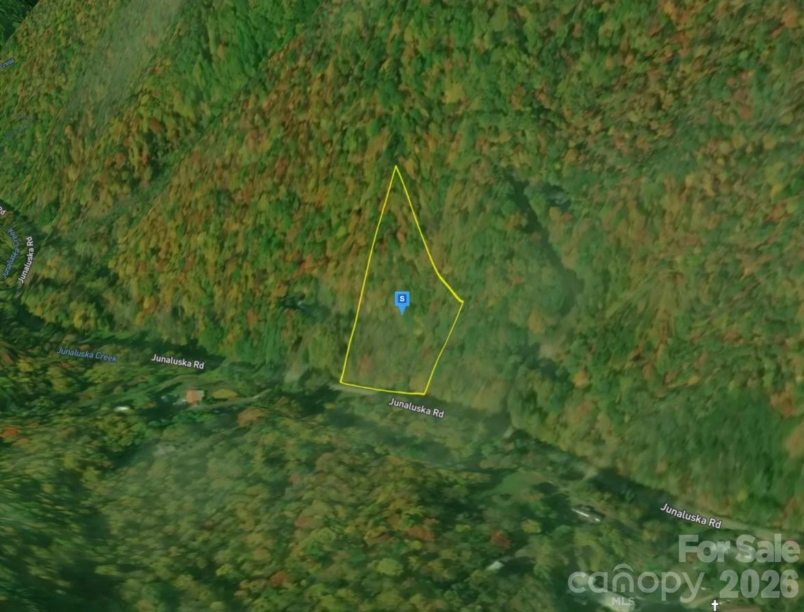 4705 Junaluska Road - Photo 3
