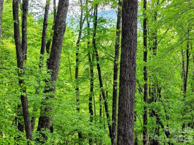 00 Hickory Springs Road, Burnsville, NC, 28714