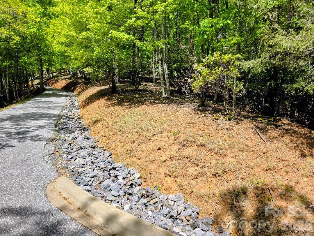 00 Hickory Springs Road #12 - Photo 2