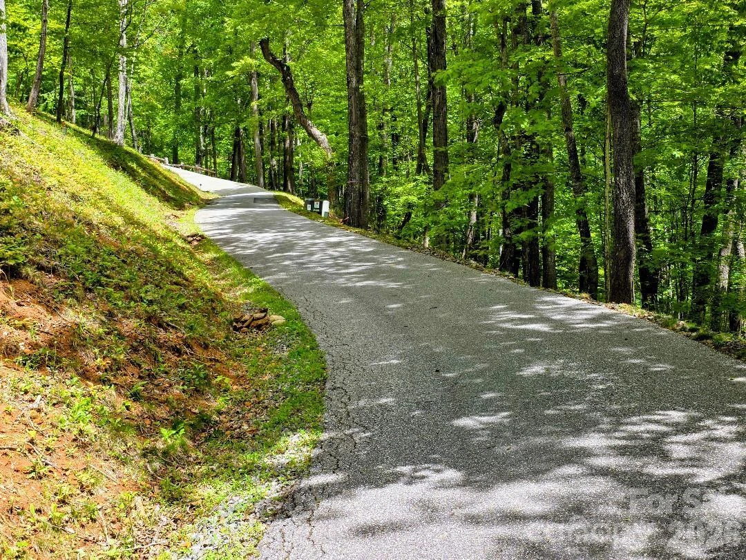 00 Hickory Springs Road #12 - Photo 12