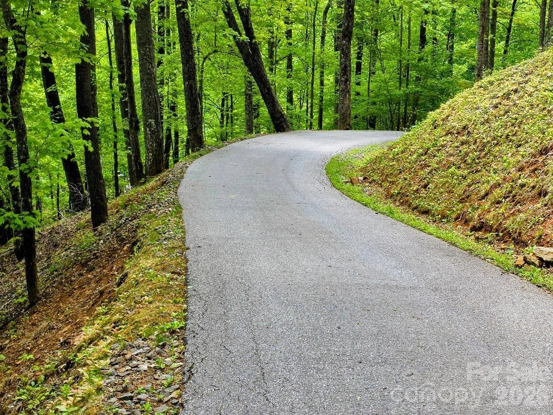 00 Hickory Springs Road #12 - Photo 13
