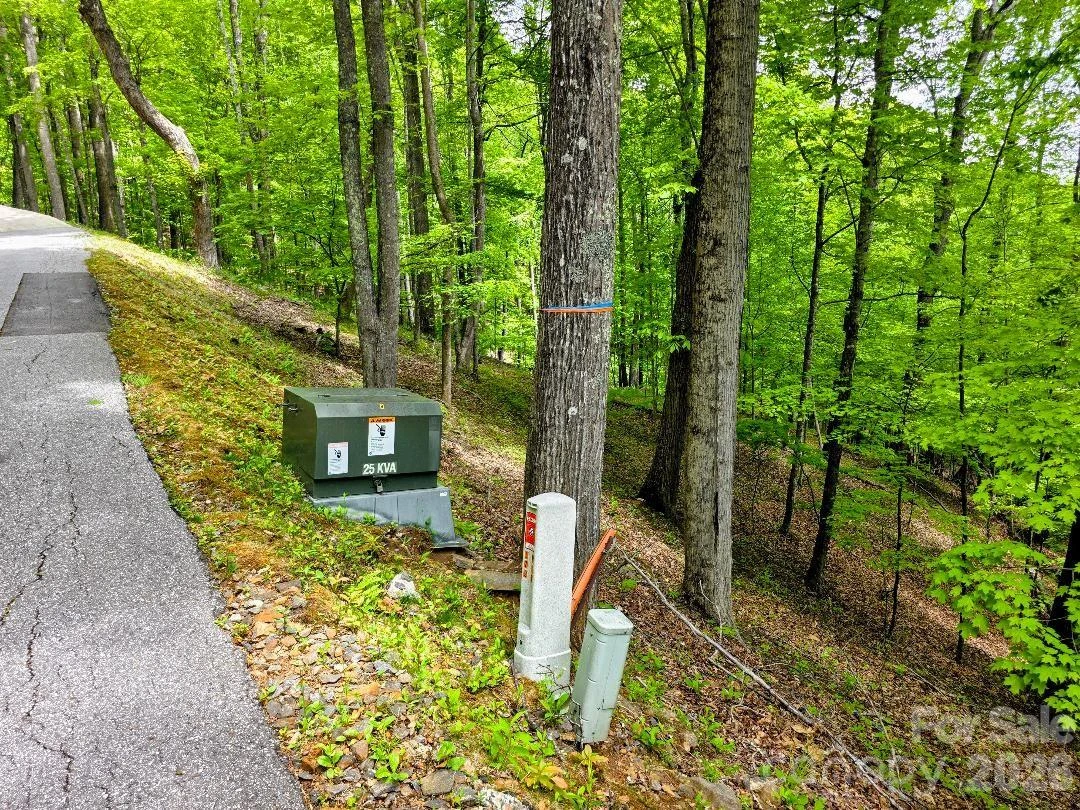 00 Hickory Springs Road #12 - Photo 14