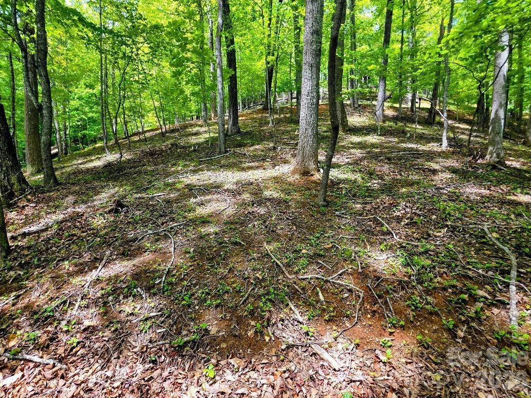 00 Hickory Springs Road #12 - Photo 15