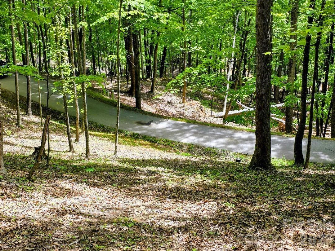 00 Hickory Springs Road #12 - Photo 17