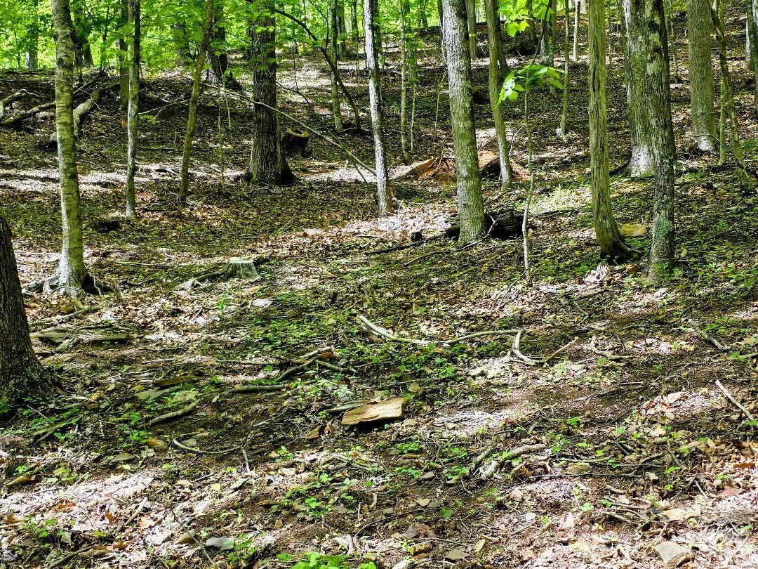 00 Hickory Springs Road #12 - Photo 18