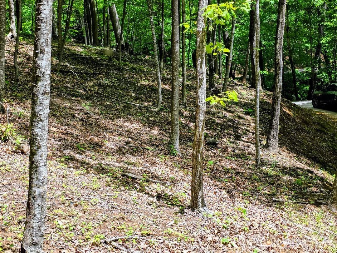 00 Hickory Springs Road #12 - Photo 19