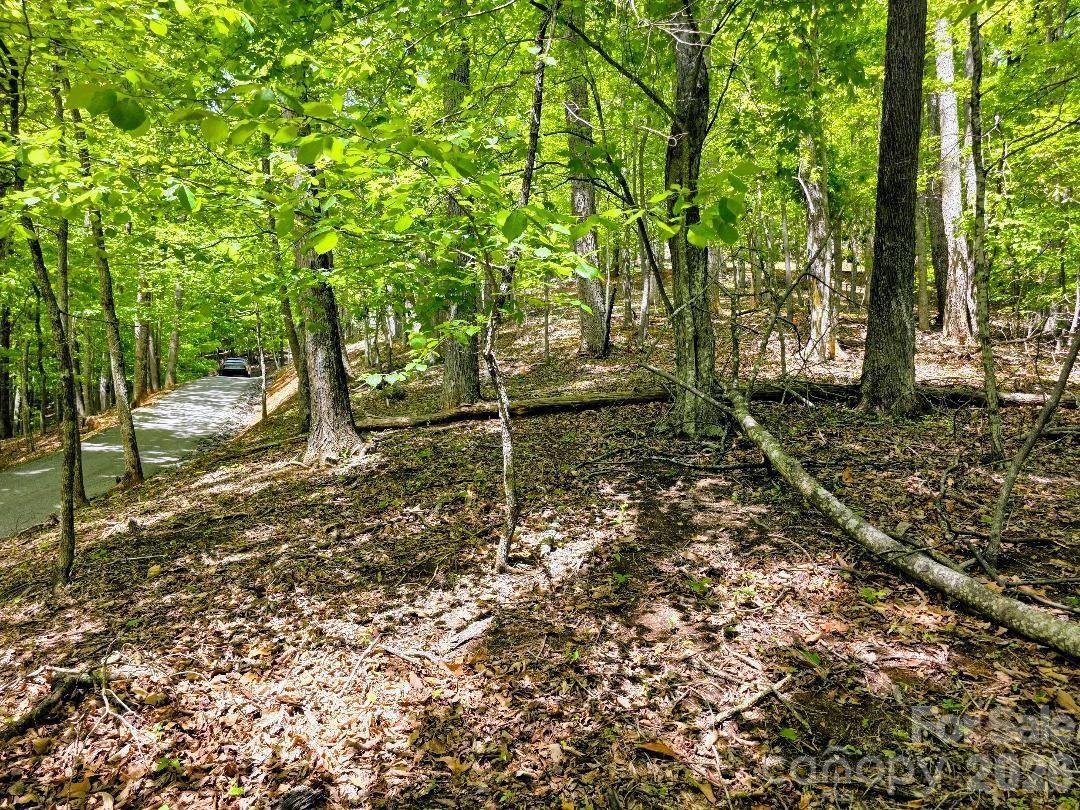 00 Hickory Springs Road #12 - Photo 3