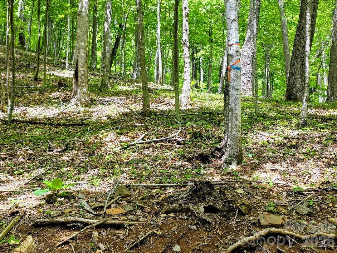 00 Hickory Springs Road #12 - Photo 21