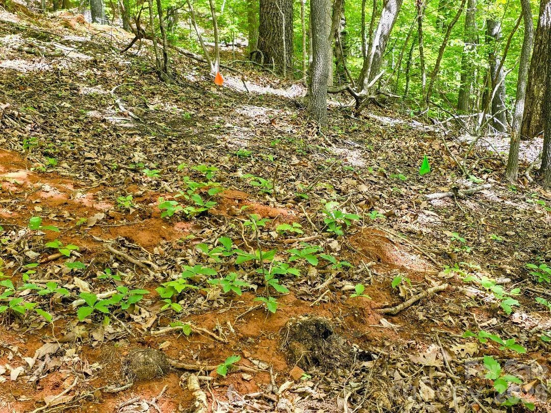 00 Hickory Springs Road #12 - Photo 4