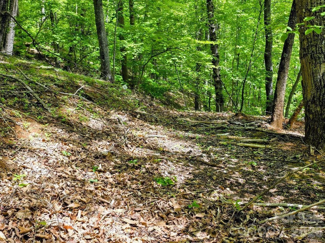 00 Hickory Springs Road #12 - Photo 5