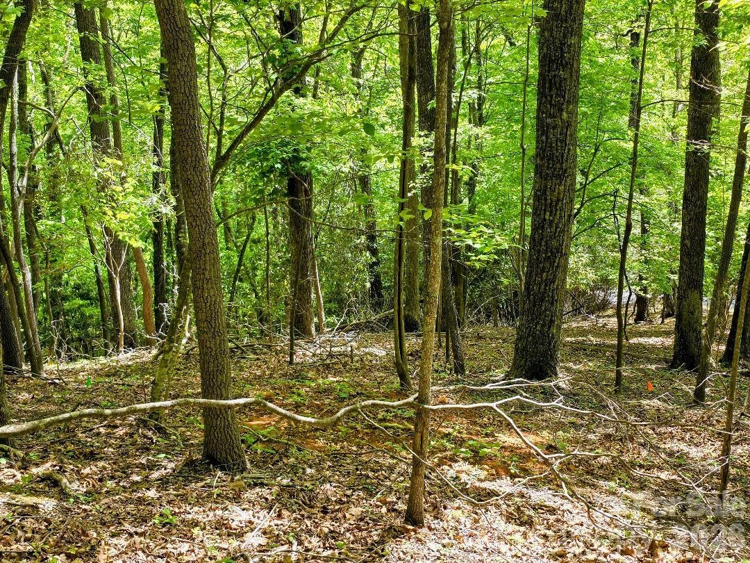 00 Hickory Springs Road #12 - Photo 6