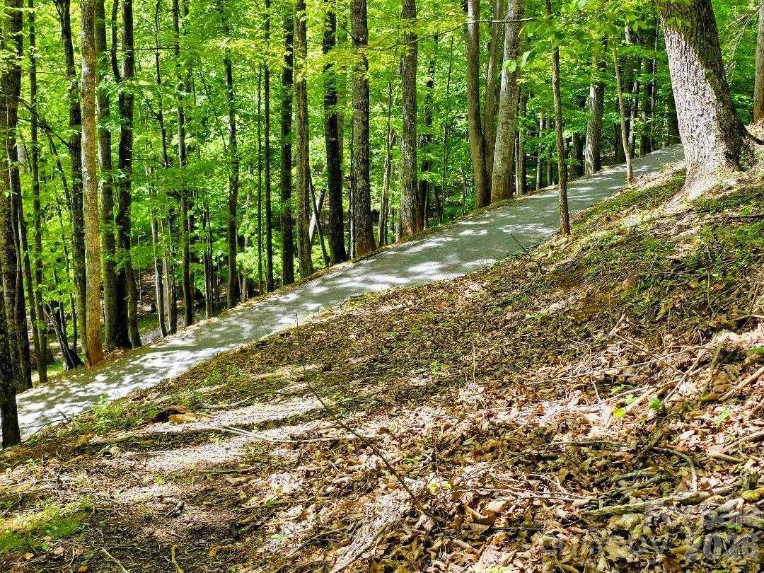 00 Hickory Springs Road #12 - Photo 7