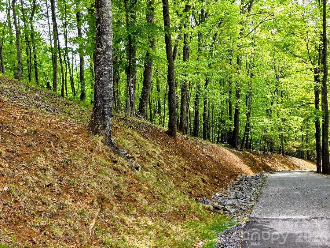 00 Hickory Springs Road #12 - Photo 9