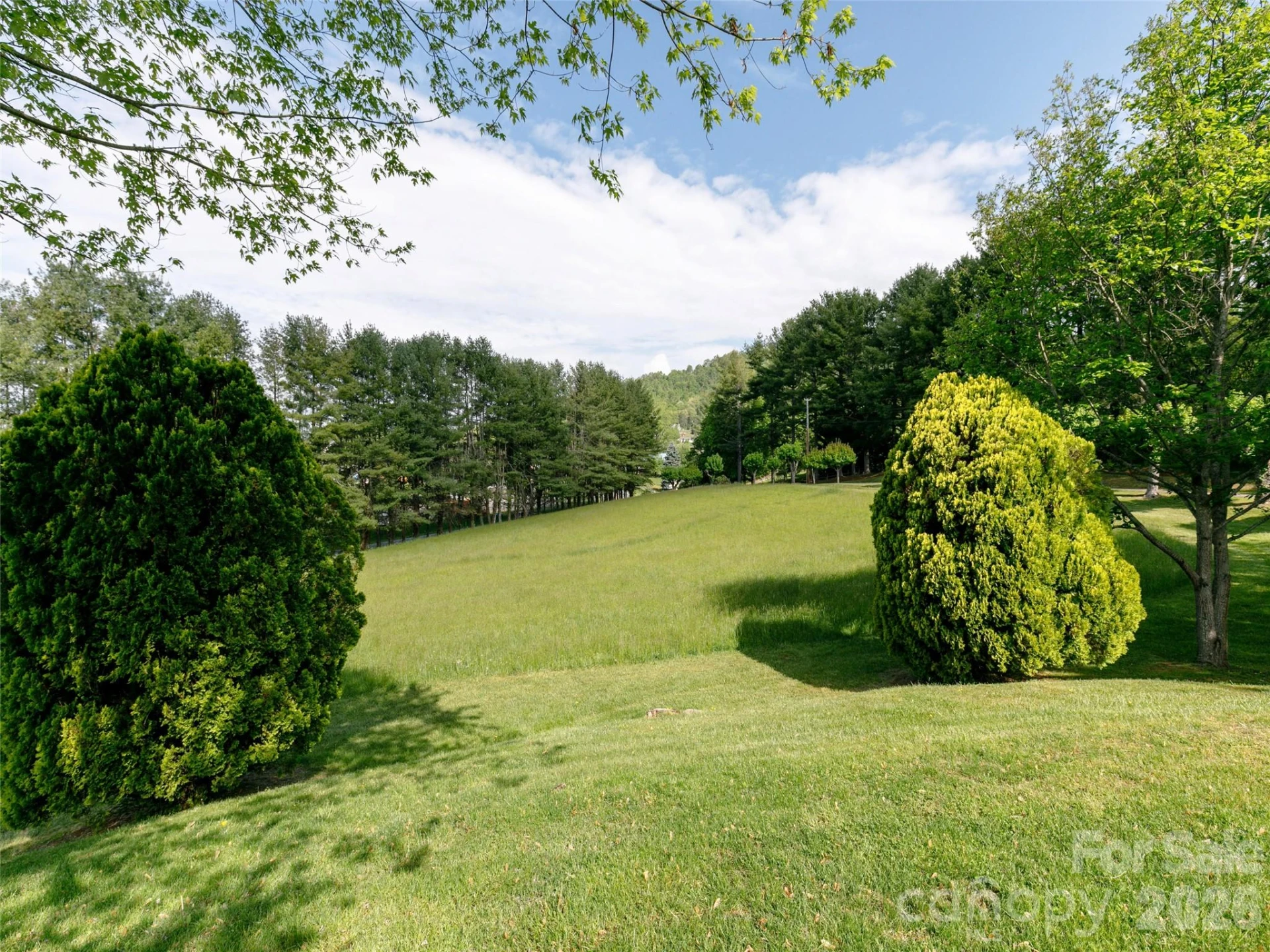 110 Crest View Road - Photo 38