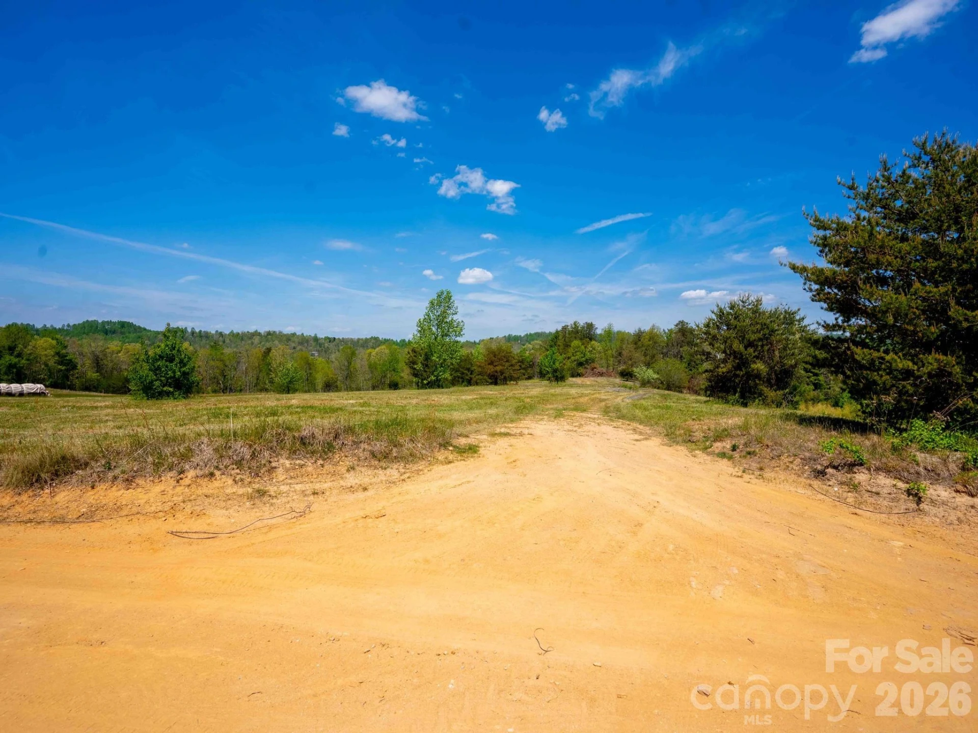 3646 Summer Road - Photo 2