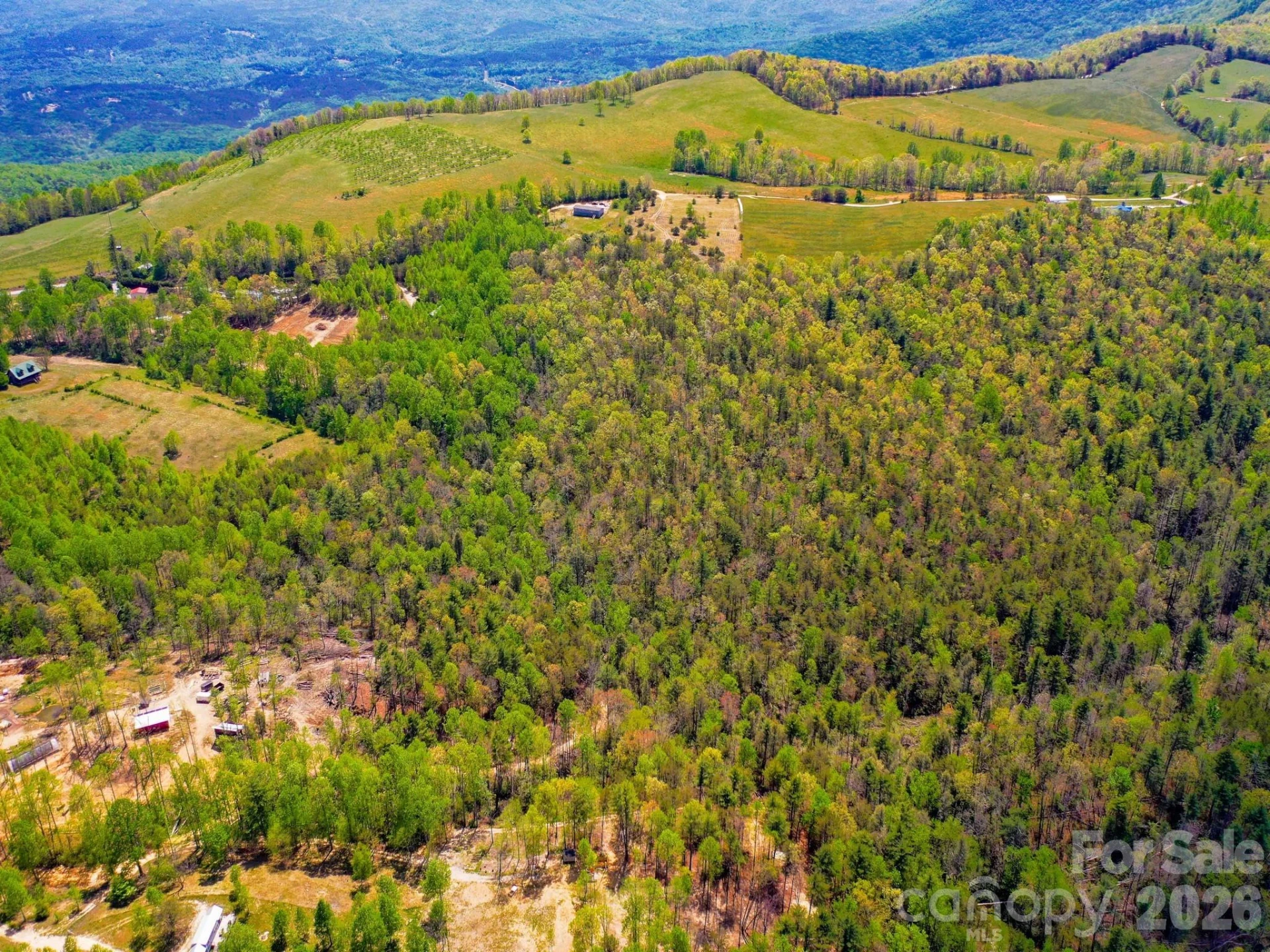 3646 Summer Road - Photo 11