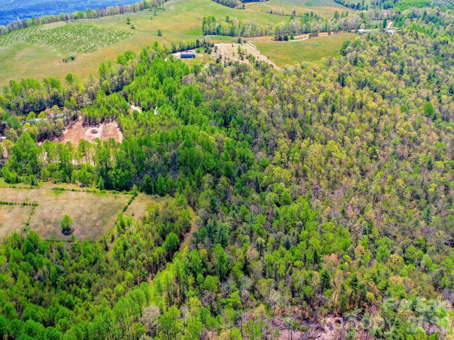 3646 Summer Road - Photo 12