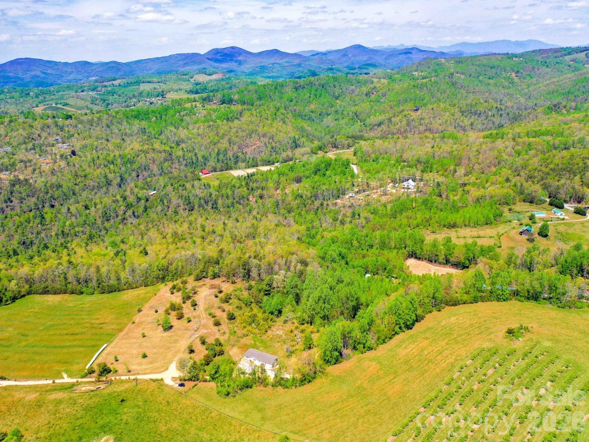 3646 Summer Road - Photo 17