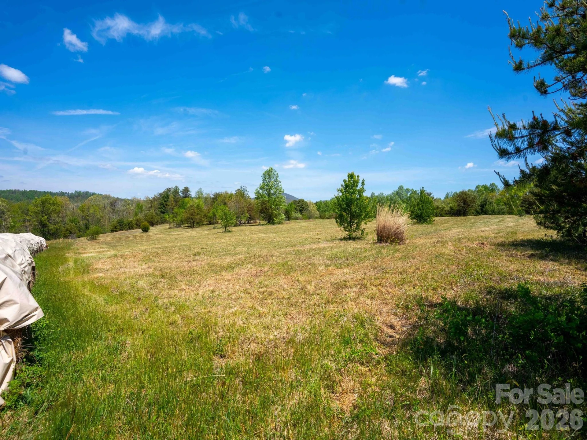 3646 Summer Road - Photo 3