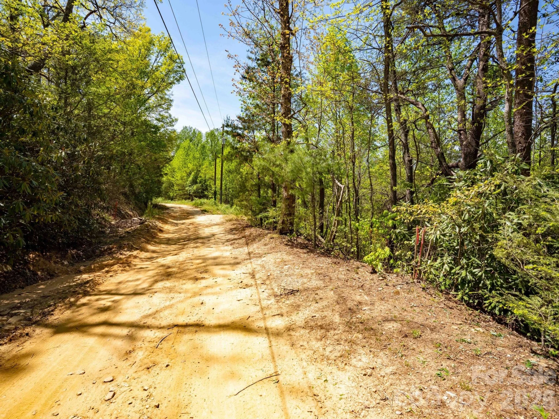 3646 Summer Road - Photo 25