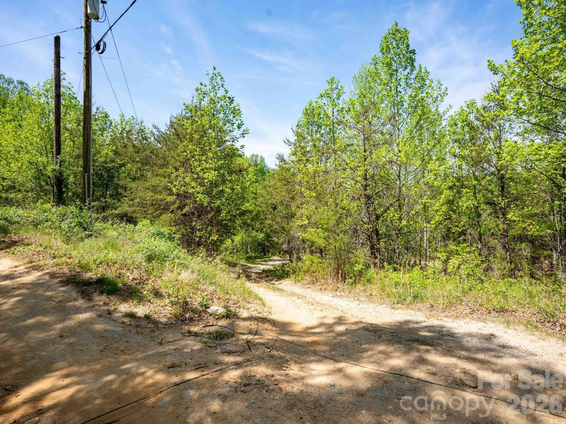 3646 Summer Road - Photo 26