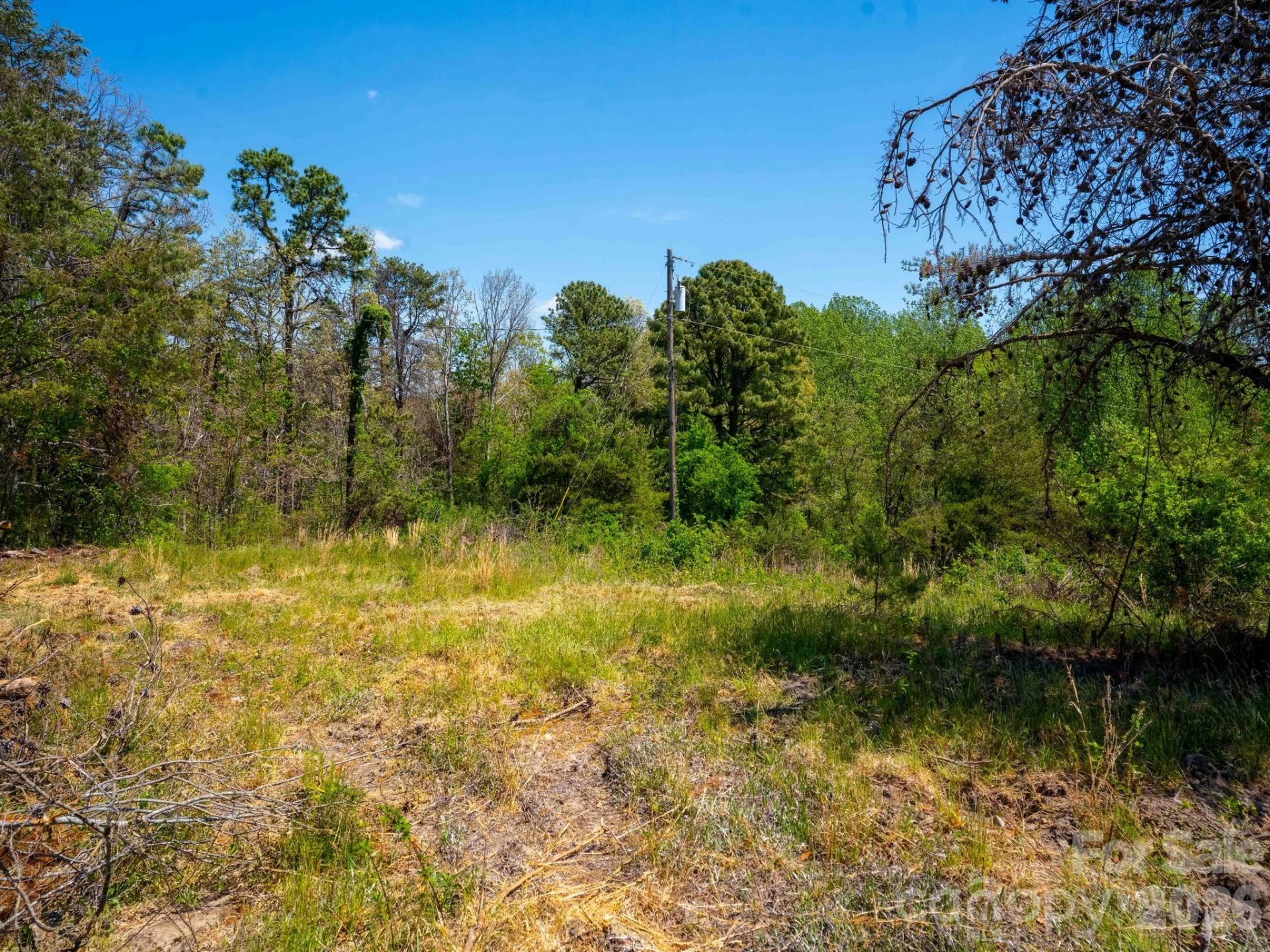 3646 Summer Road - Photo 4