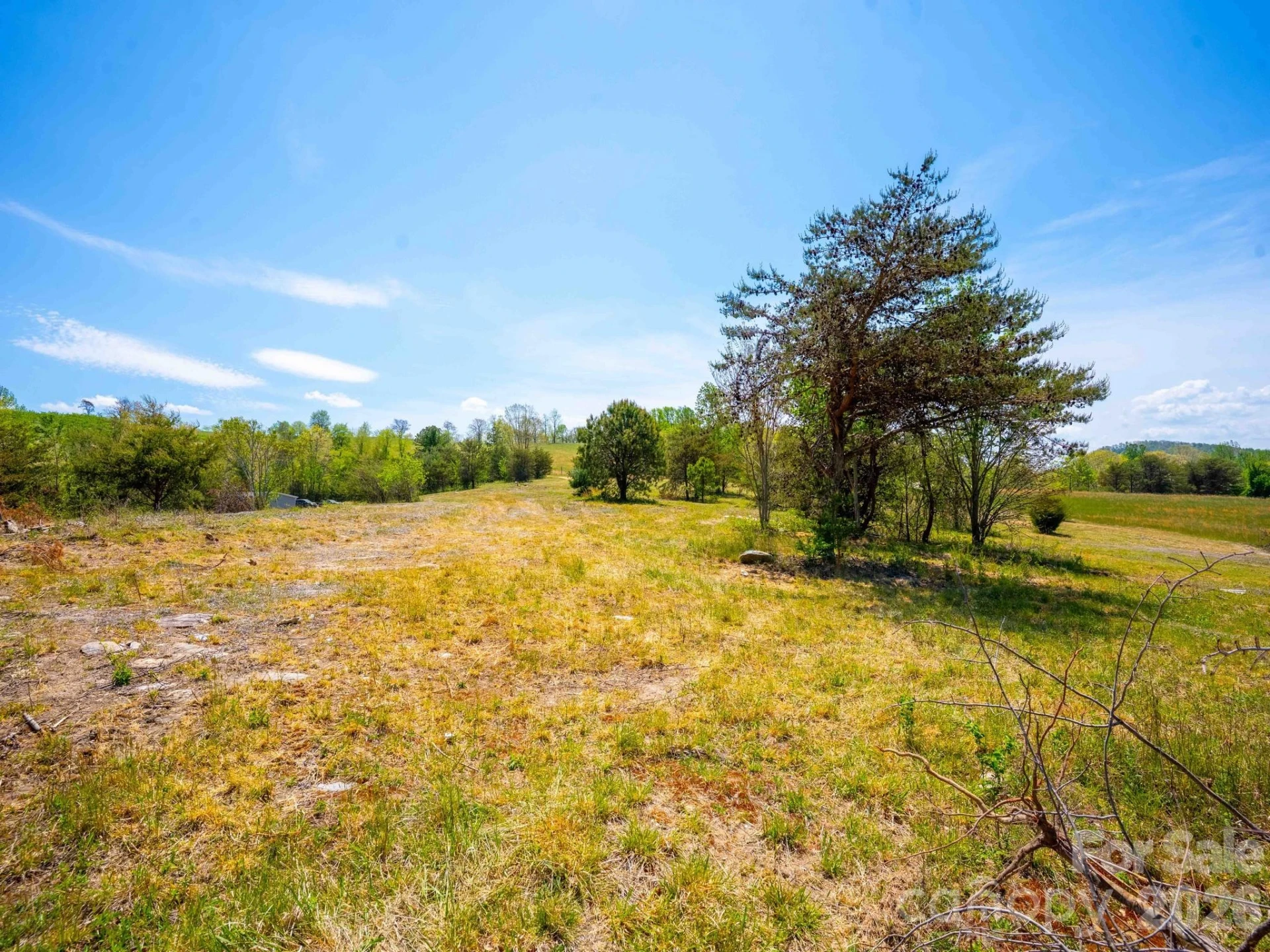 3646 Summer Road - Photo 5