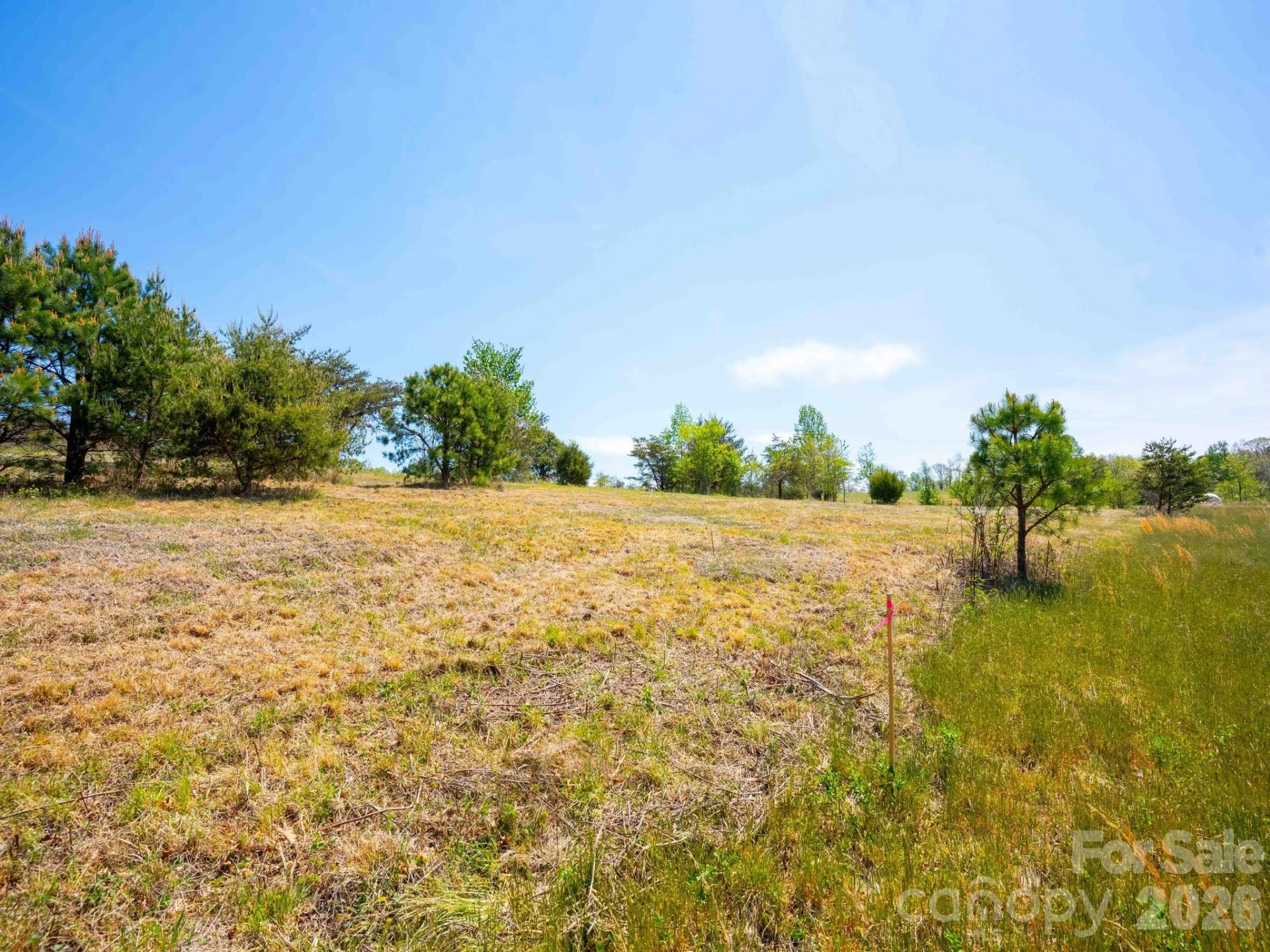 3646 Summer Road - Photo 6